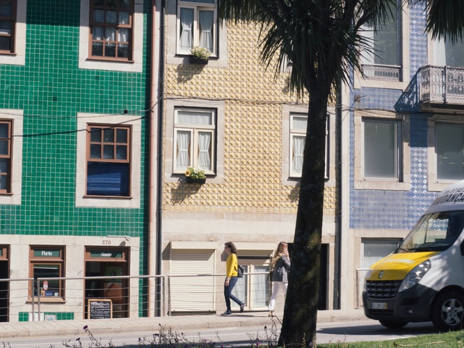 Primavera no Porto: fotografias que comprovam o seu encanto