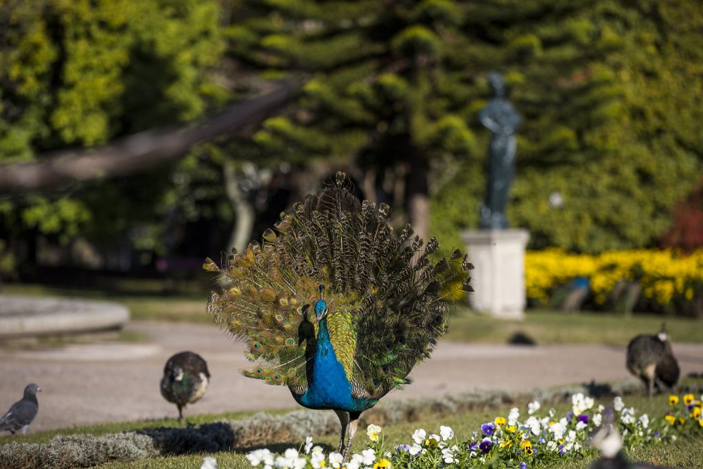 jardins do palácio de cristal