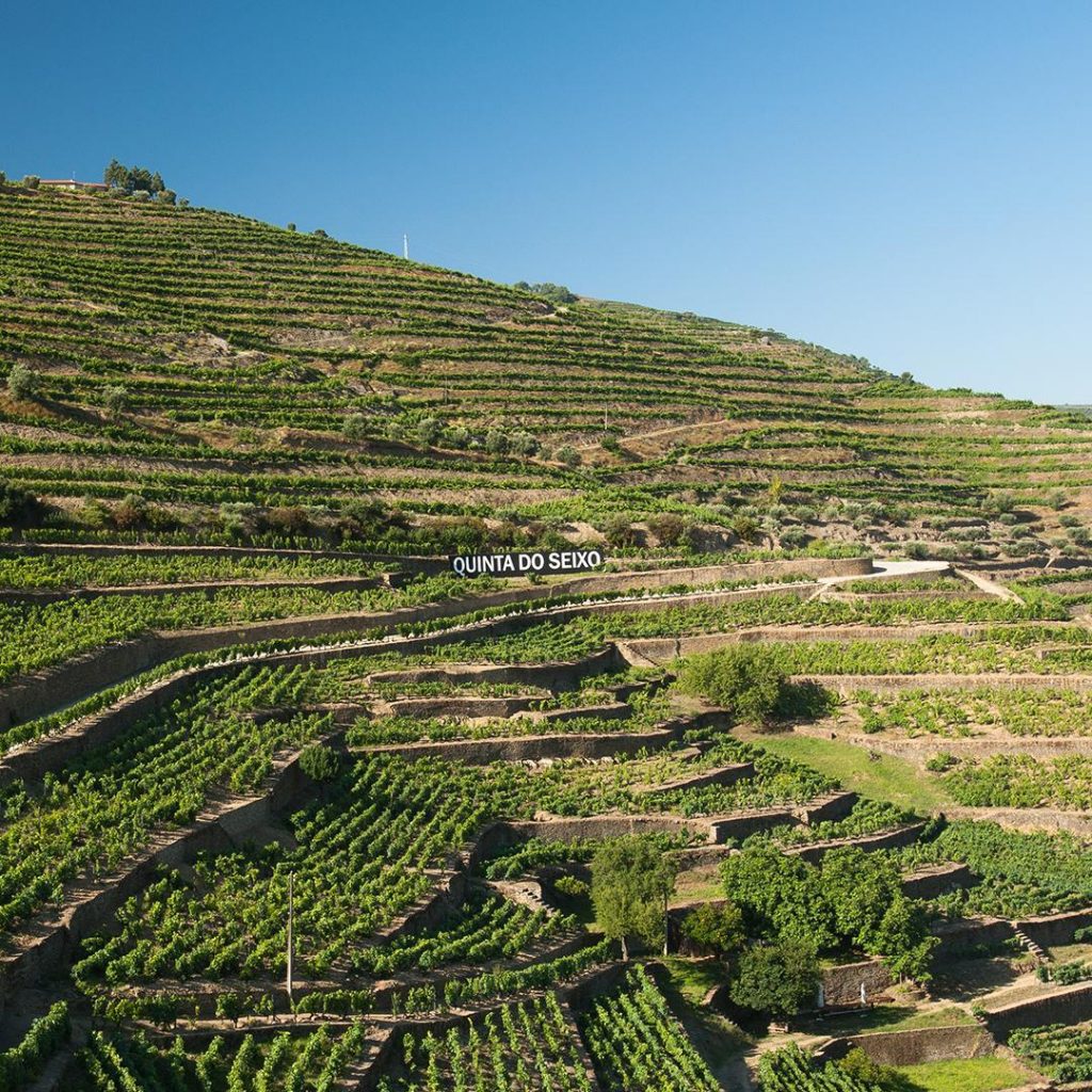 Vista sobre vindimas de vinho do Porto