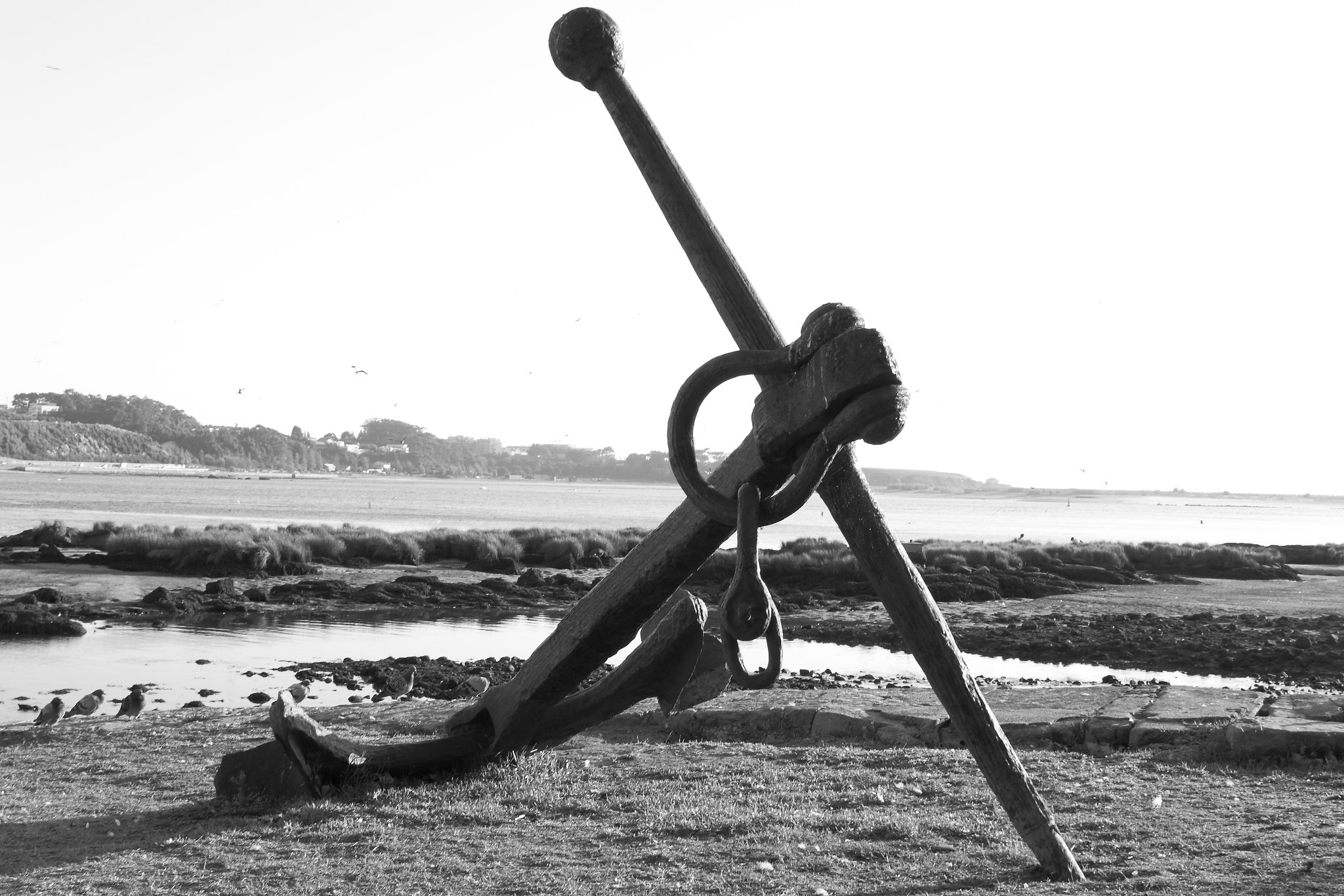 largo antónio calém