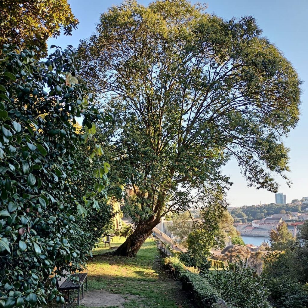 8 sítios instagramáveis no Porto
