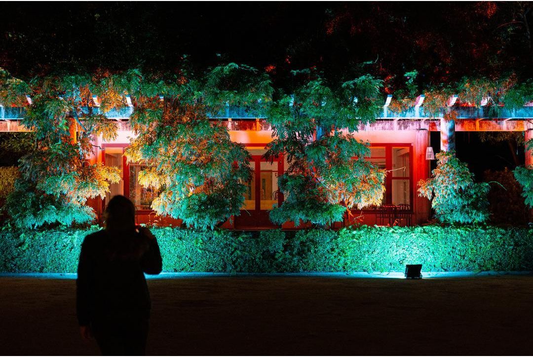 Serralves em Luz