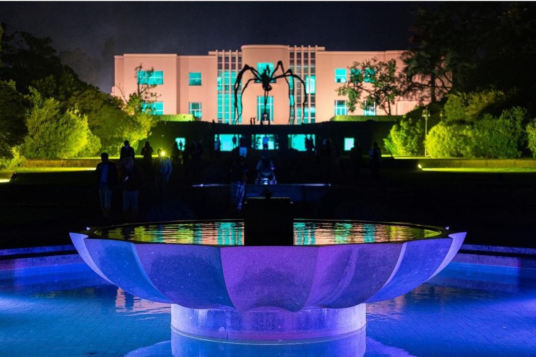 Serralves em Luz