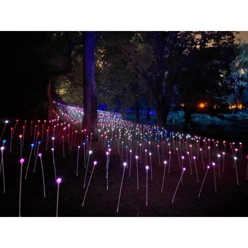 Serralves em Luz
