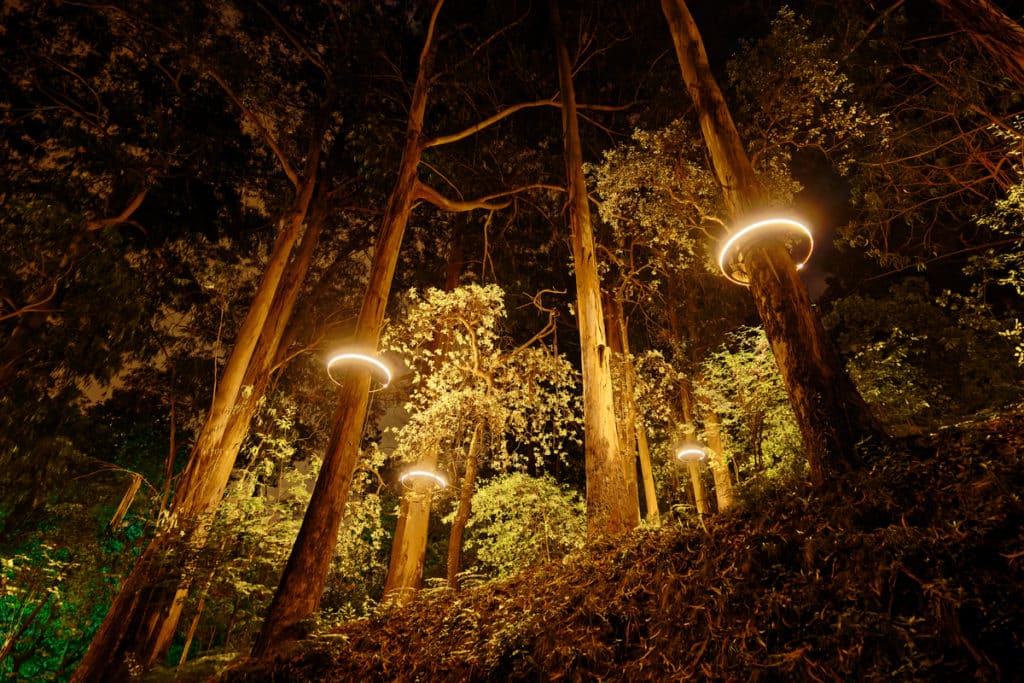 L'exposition « Serralves em Luz » va être prolongée jusqu'à fin novembre