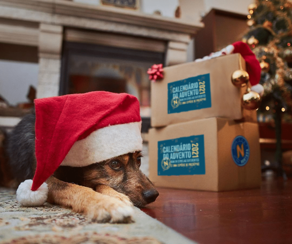 Cerveja Nortada lança Calendário do Advento com 24 cervejas diferentes para beber até ao Natal