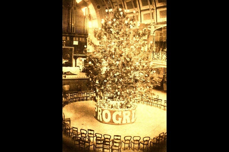 primeira arvore de natal do porto