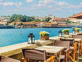 De roteiros de camélias a sessões de cinema fantástico: estes são os melhores planos para o fim de semana no Porto