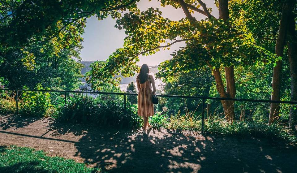 A neon light concert, free exhibitions, and a world-class museum: must-see plans for this weekend in Porto