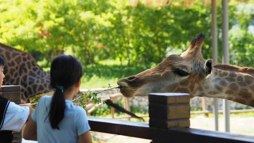 Il y a plusieurs parcs et zoos à visiter près de Porto