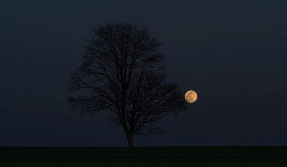 Put away your glasses: in the early hours of Friday morning, Porto will see a lunar eclipse with the naked eye