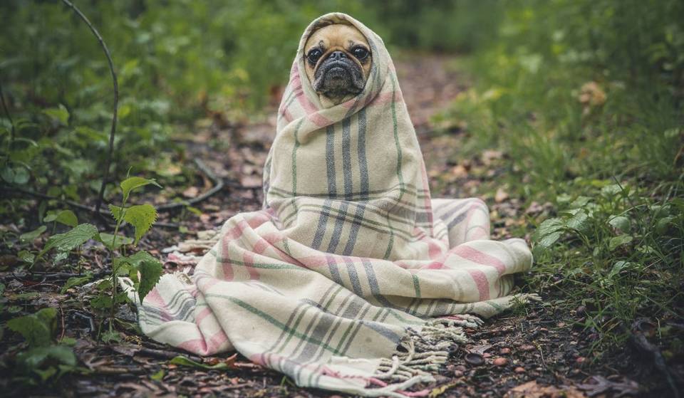 Atenção, as temperaturas vão continuar a descer e vem aí vento forte