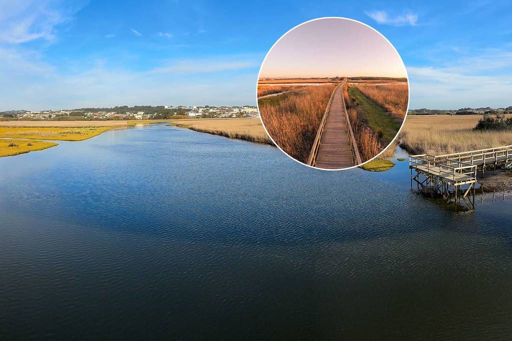 A 30 minutos do Porto, os Passadiços da Barrinha de Esmoriz são sinónimo de uma experiência incrível