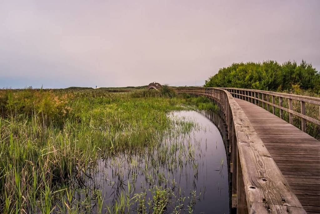 A 30 minutos do Porto, os Passadiços da Barrinha de Esmoriz são sinónimo de uma experiênci