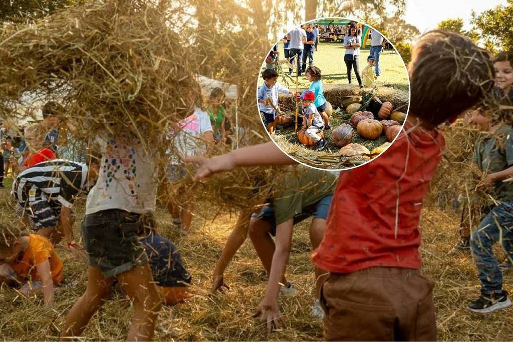 Festa do Outono em Serralves regressa para mais uma edição