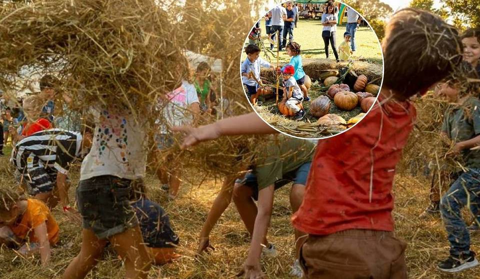 Envie d&rsquo;accueillir la nouvelle saison ? Voici le festival d&rsquo;automne de Serralves, avec deux jours de divertissement (et d&rsquo;entrée gratuite).