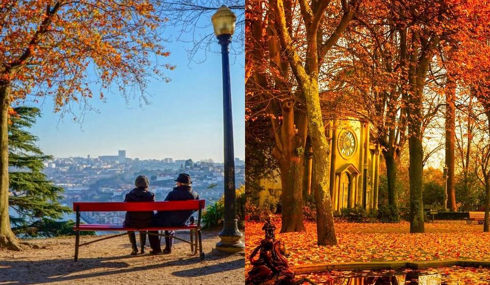 10 fotografias inspiradoras que mostram todo o encanto do outono na cidade do Porto