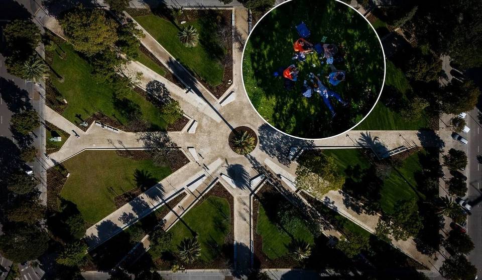 Plus vert et plus attrayant que jamais : 13 000 arbustes et 200 nouveaux arbres redonnent vie au jardin Praça da República au cœur de Porto