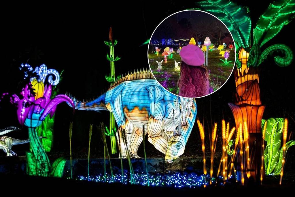 Wild Lights: the illuminated exhibition is back in Greater Porto