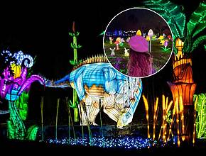 Dinossauros, pinguins e leões luminosos a poucos minutos do Porto: a exposição com mais de 600 figuras regressa ao maior zoo do Norte de Portugal