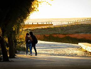 La seule comédie musicale sur glace du nord du Portugal et des expositions avec des pièces LEGO : l&rsquo;agenda de novembre dans le Grand Porto
