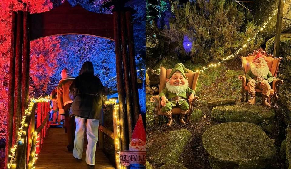 A “Floresta Encantada” que parece saída de um conto de fadas fica a 1h30 do Porto — e as luzes só se apagam este domingo