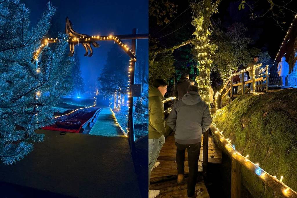 Floresta Encantada volta a brilhar no Gerês