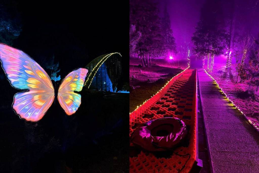 Floresta Encantada volta a brilhar no Gerês, a cerca de 1h30 do Porto