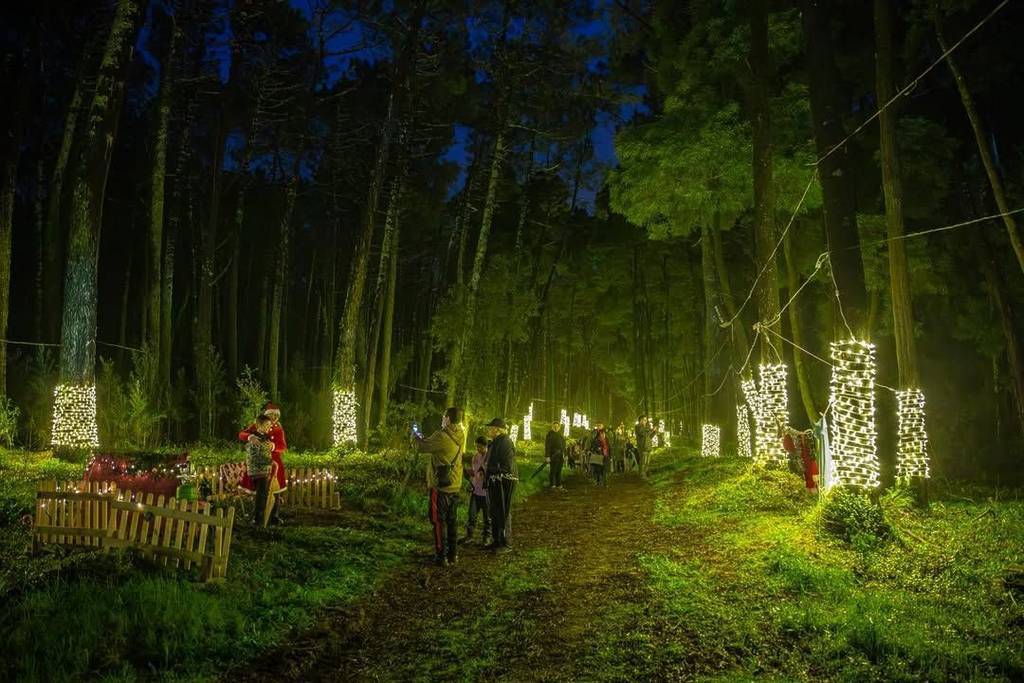 Floresta Encantada Camarilândia em Caminha