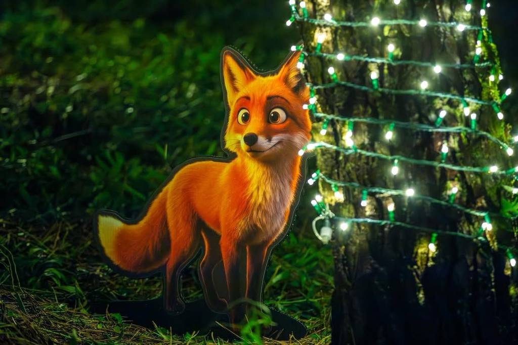 Floresta Encantada Camarilândia em Caminha