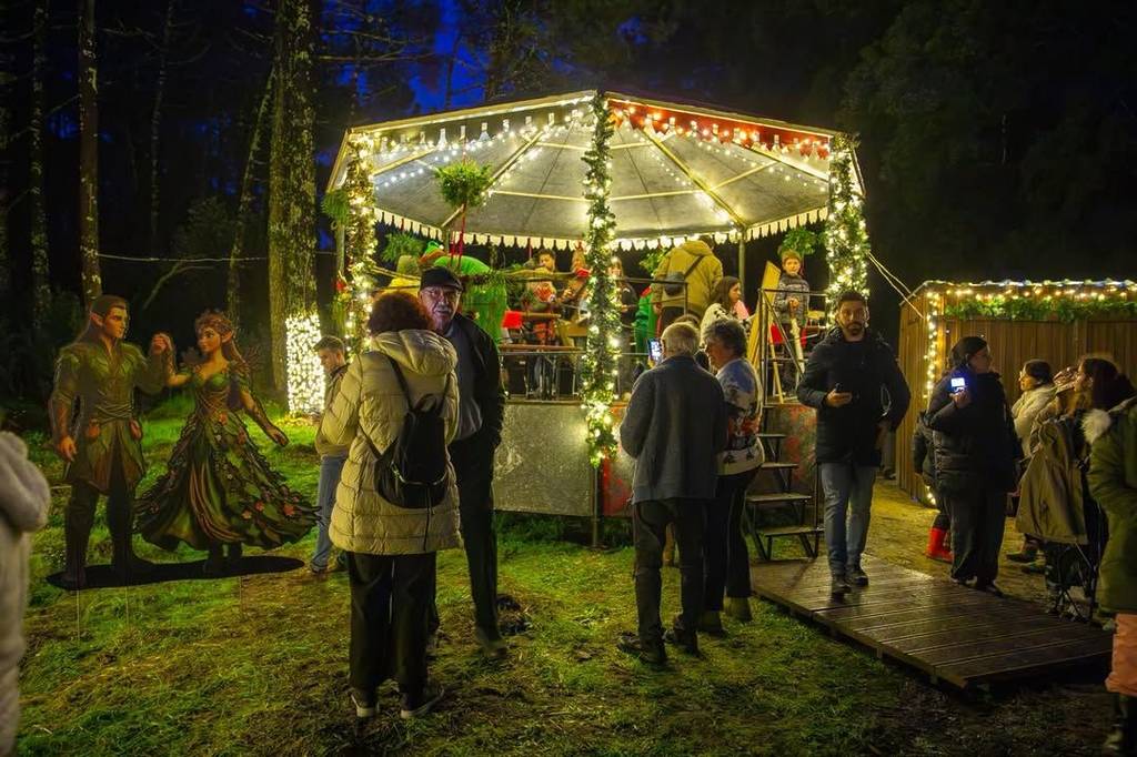 Floresta Encantada a 1h30 do Porto