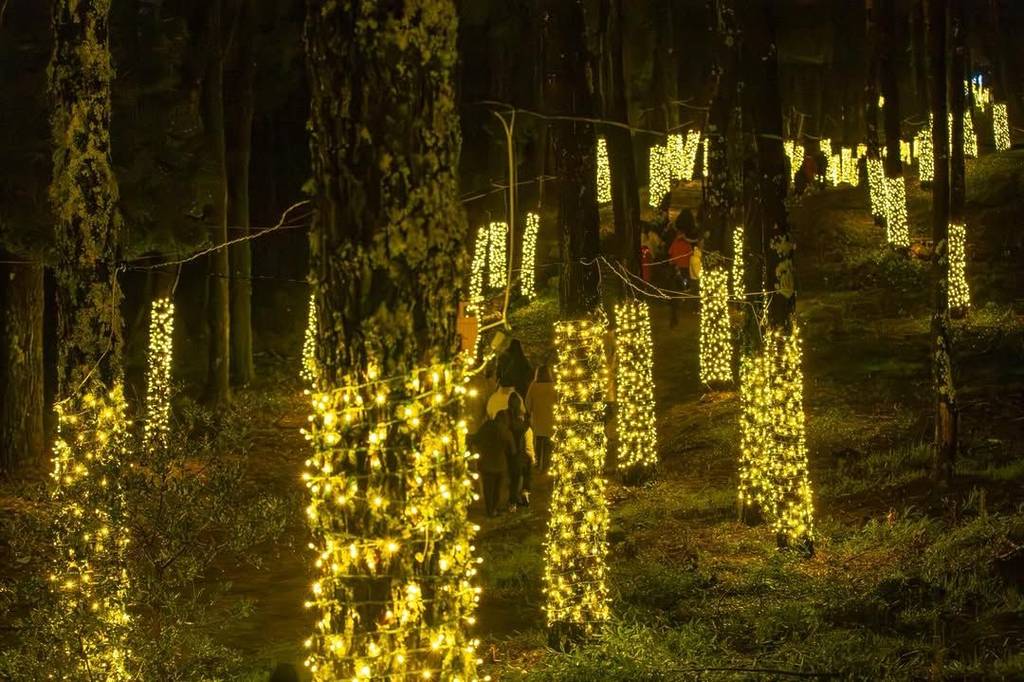 Floresta Encantada a 1h30 do Porto