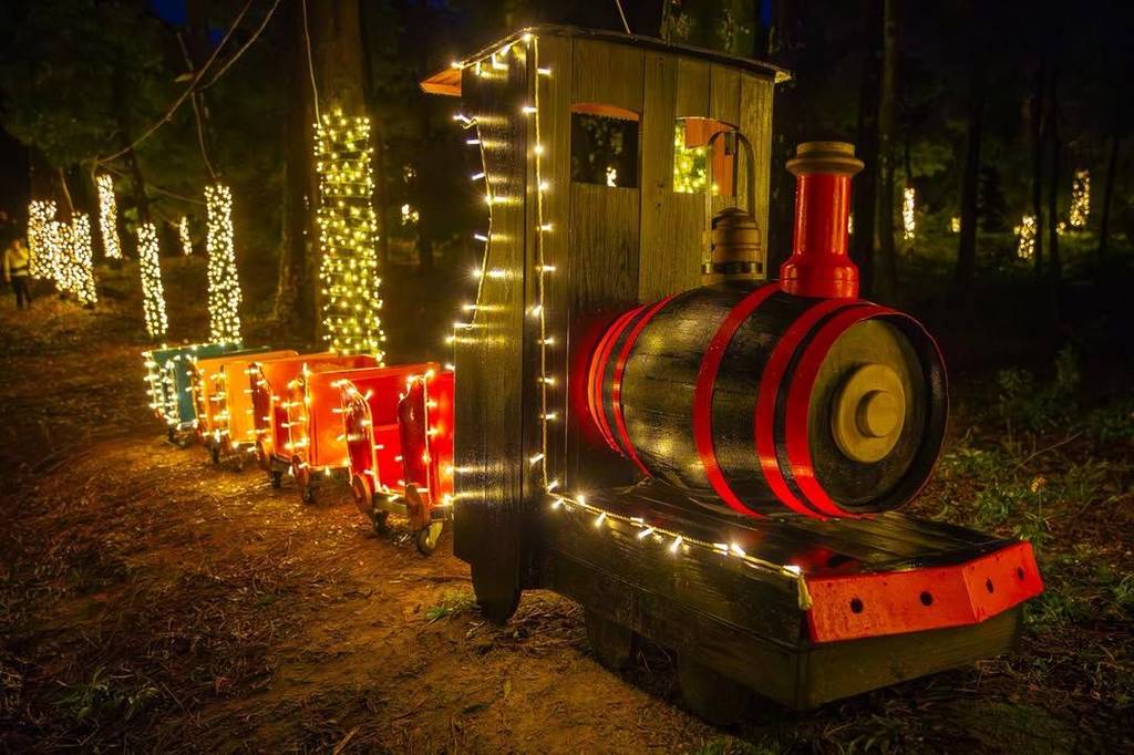 Floresta Encantada a 1h30 do Porto