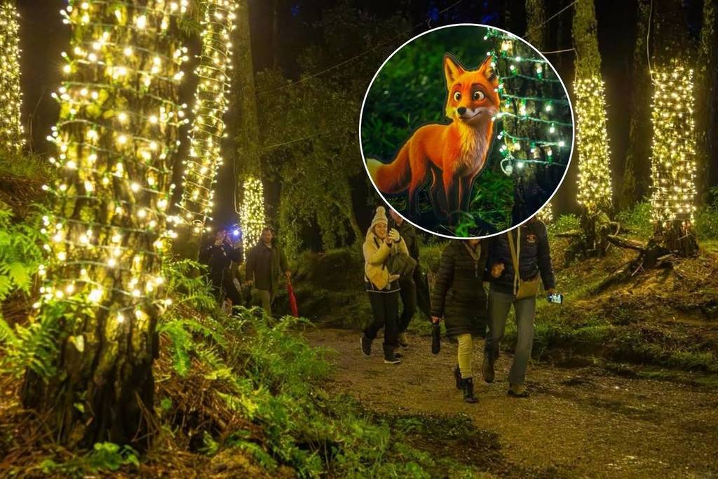Bosque Encantado de Camarilandia en Caminha