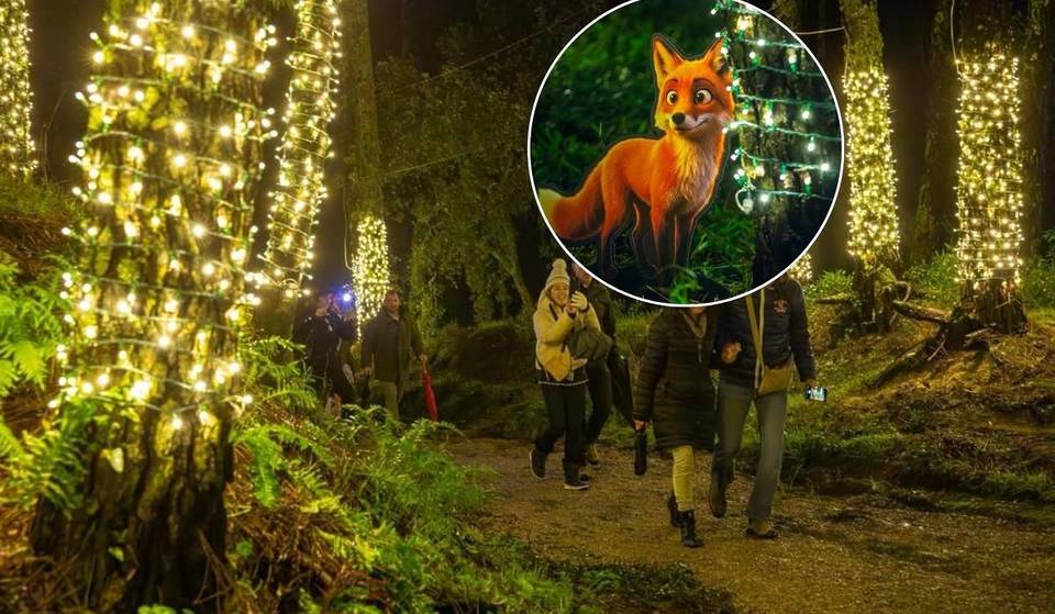 A ‘floresta encantada’ de Natal que está a menos de 1h30 do Porto: luzes mágicas, personagens especiais e um cenário que parece saído de um filme