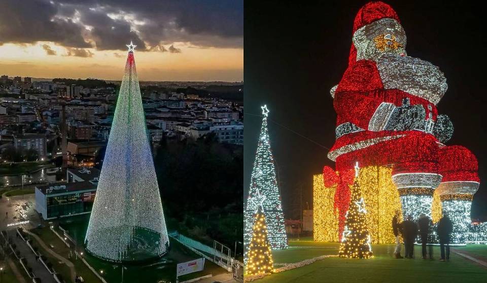 Como viver um Natal diferente no Porto e não só: passeios de comboio histórico, elétrico e viagens até à ‘maior árvore do País’