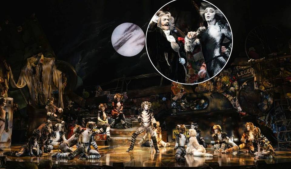 “Cats” at the Super Bock Arena: the return of the world-famous musical, which is only in Porto for five days