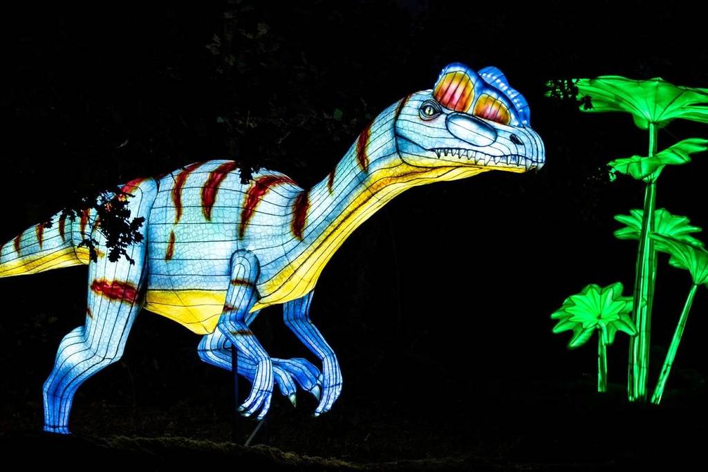 Luzes Selvagens está quase a chegar ao fim