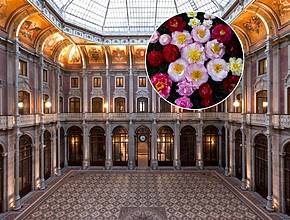 Celebrar a flor centenária do Porto: 30.ª Exposição de Camélias vai transformar o Palácio da Bolsa num magnífico jardim (e a entrada é livre)