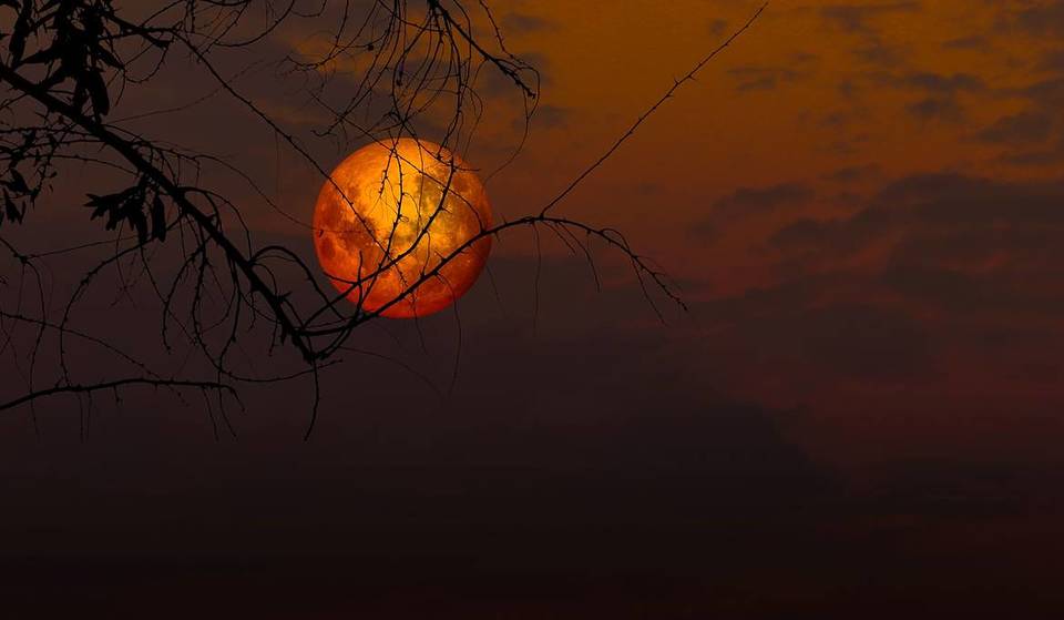 Esquece o eclipse: a “Lua Cheia da Minhoca” promete iluminar o Porto com um brilho intenso e estas são três das melhores localizações para tirar a foto perfeita