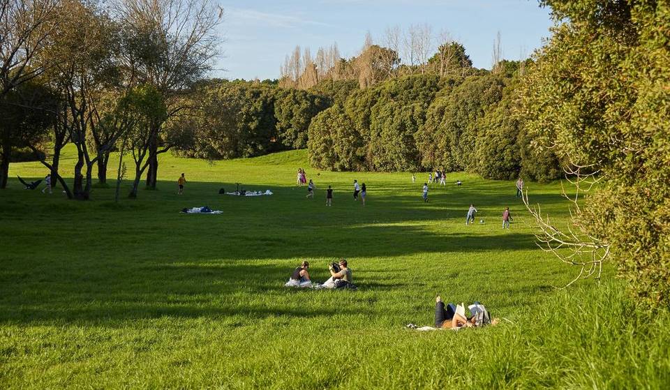O roteiro das camélias e outros 15 planos imperdíveis para aproveitar os dias de sol no Porto esta primavera