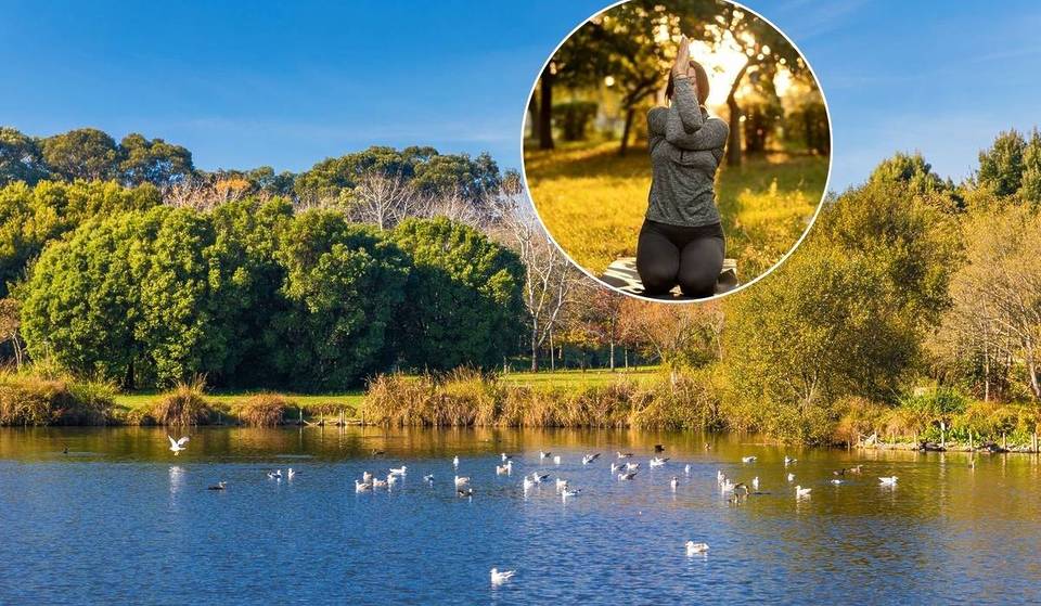 Forget the gym: 6 of Porto’s most beautiful gardens will host free yoga, Pilates, and meditation classes through September
