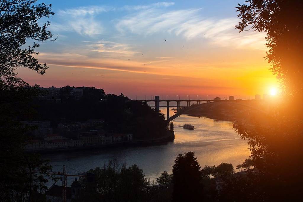 los jardines del Palacio de Cristal son uno de los mejores lugares para ver la puesta de sol en Oporto