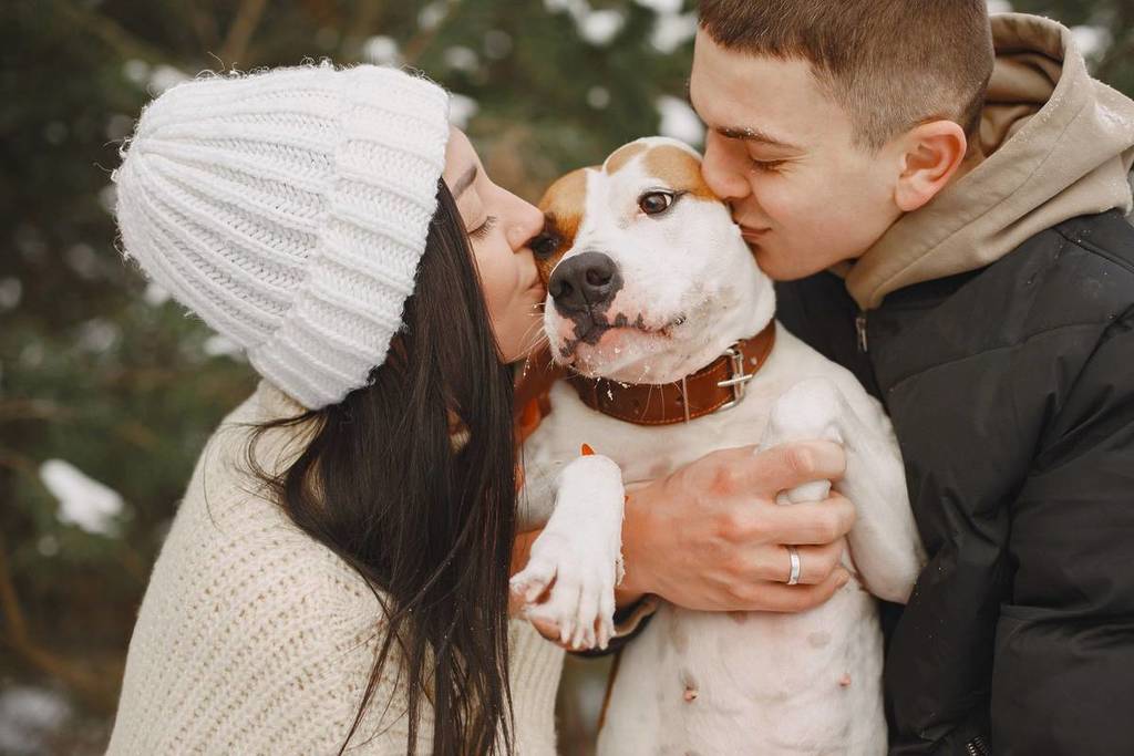 Maia organiza el PET FEST para promover la adopción responsable de perros y gatos