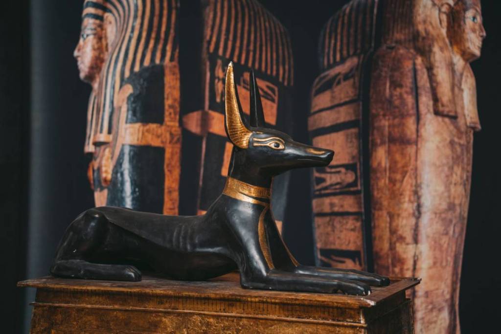 O Museu Atkinson, no WOW, recebe a exposição Egyptian Treasures.