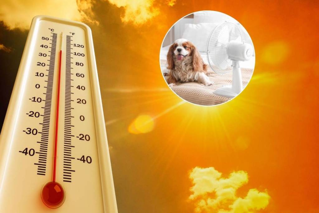 Extreme heat wave affects Porto