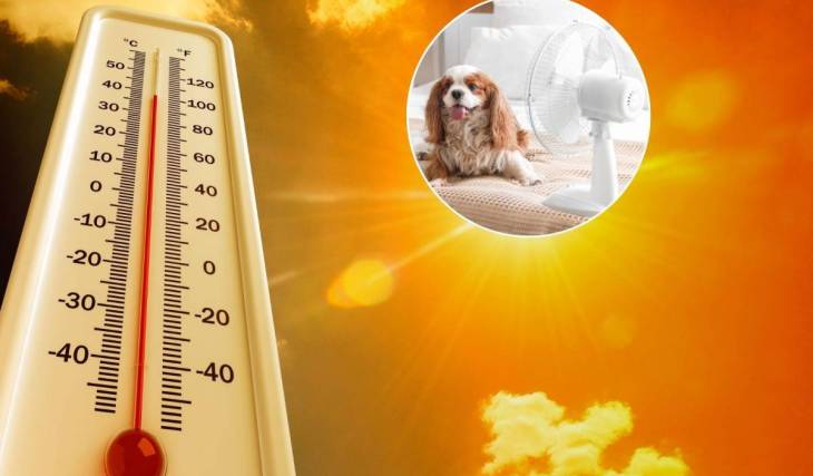 Porto District under red alert with highs of 37°C through July 5—here is the list of air-conditioned shelters