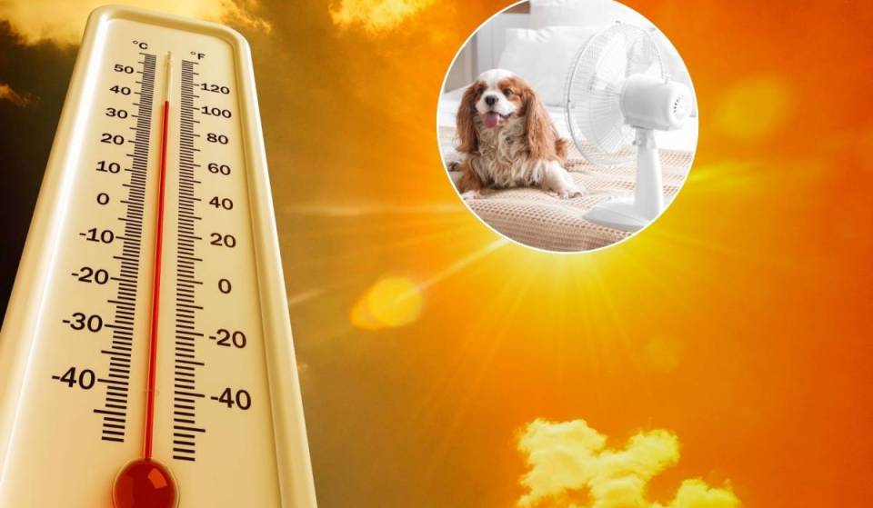 Distrito do Porto sob aviso vermelho com picos de 37ºC até 5 de julho — eis a lista de refúgios climatizados