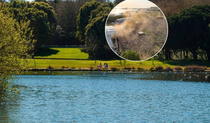 Este mágico «pulmón verde» de 83 hectáreas en la Invicta es el parque urbano más grande de Portugal, sede del Primavera Sound Porto, y esconde un detalle único en Europa