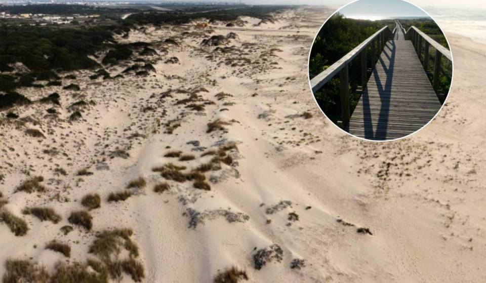 About 60 km from Porto, there is a dune nature reserve that has just been named a Five-Star Icon of Portugal